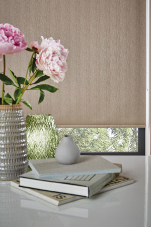 Crop Livingroom Roller Shades