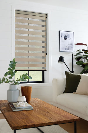 Beige livingroom Dual Shades