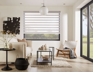 Capri - Light Filtering Zebra Shade