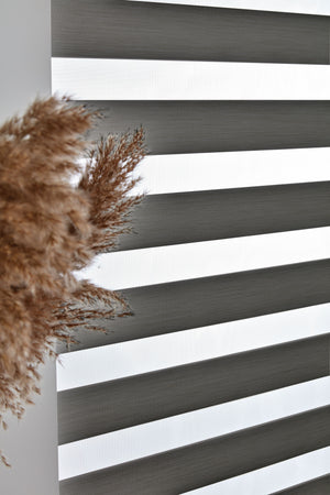 Carcaol Dual Shades