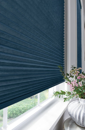 Blue shade motorized Shades