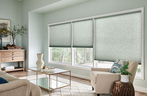 Living room honeycomb Shades
