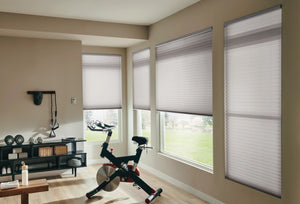 Gym honeycomb Shades