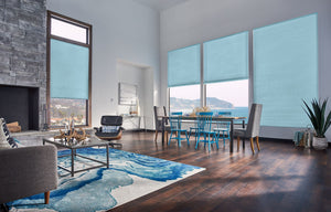 Livingroom Cellular Shades
