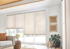 Livingroom Honey comb Shades