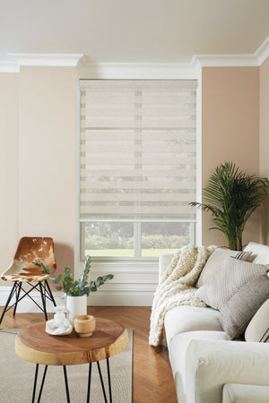 White Living room Dual Shades