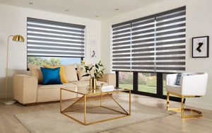 Open Ecco stone Livingroom Dual Shades