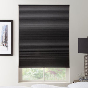 Blackout Motorized Blinds